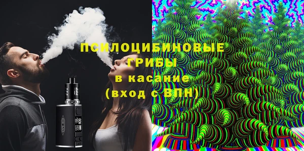 PSILOCYBIN Верхний Тагил