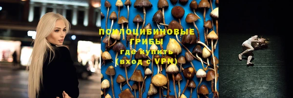 PSILOCYBIN Верхний Тагил