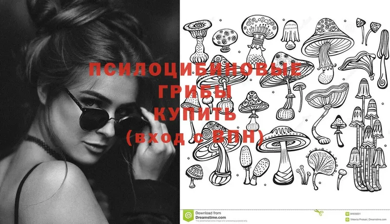 что такое наркотик  Дальнегорск  Псилоцибиновые грибы MAGIC MUSHROOMS 